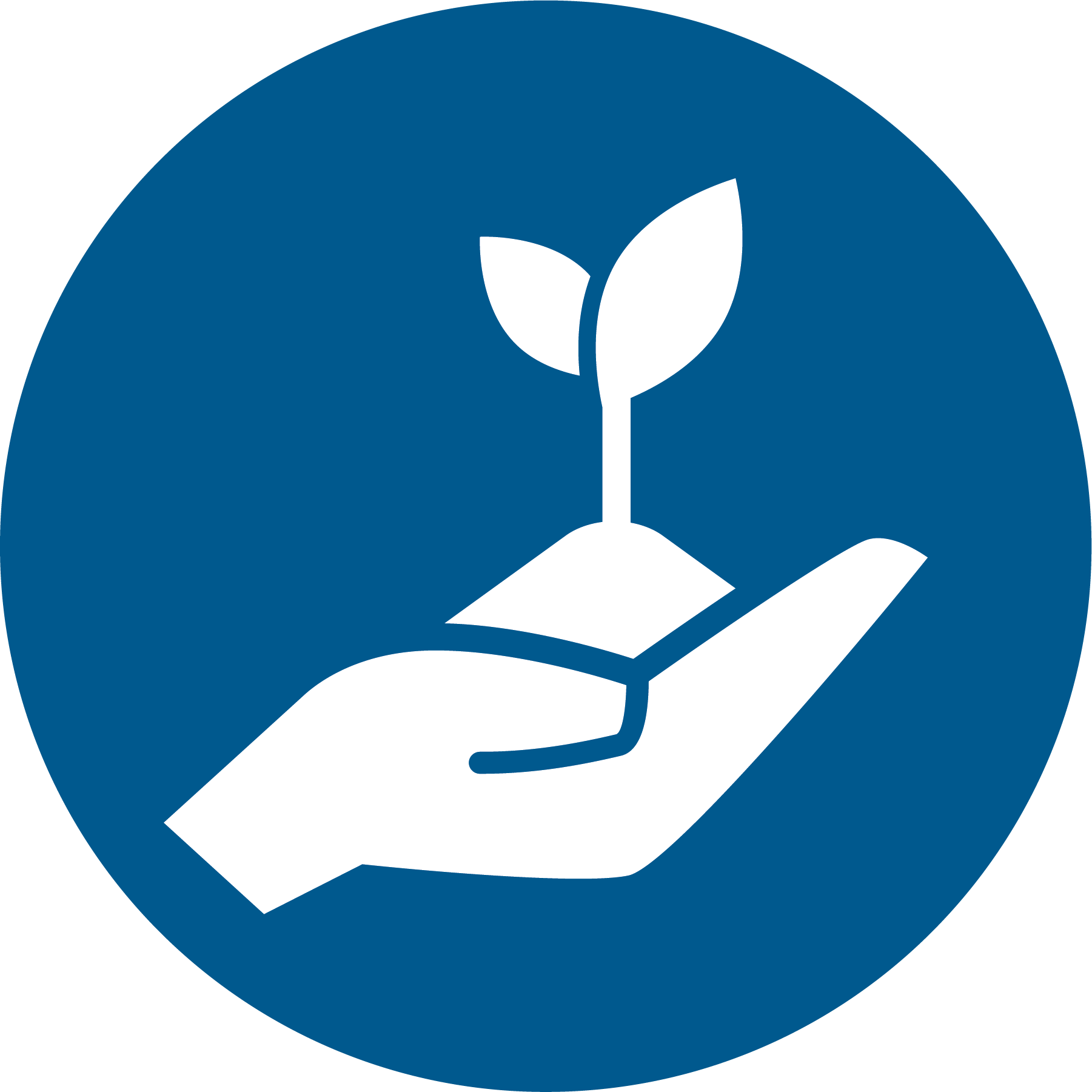 icon hand holding a seedling